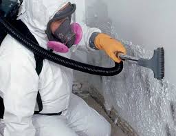 Best Commercial Mold Inspection in Damascus, MD